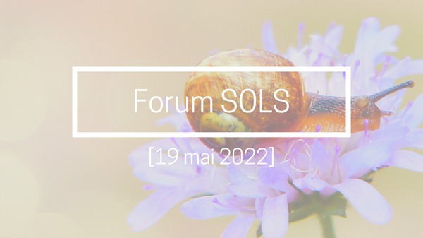 Forum sols